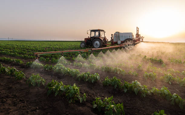 Best Mosquito Control Services  in Heppner, OR