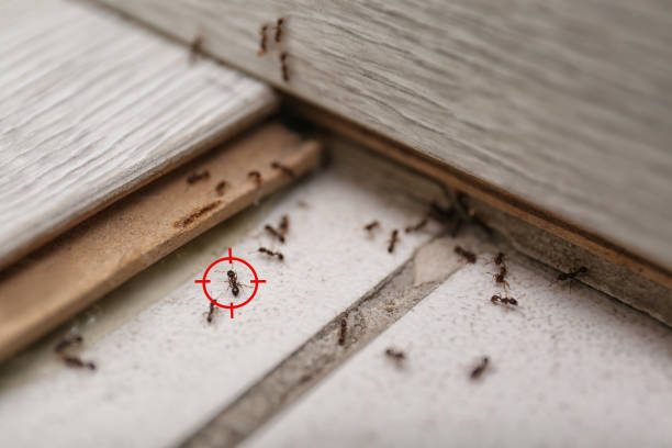 Best Cockroach Control Services  in Heppner, OR