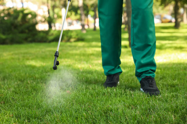 Best Local Pest Control Services  in Heppner, OR
