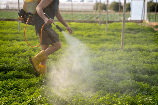 Best Ant Control Services  in Heppner, OR