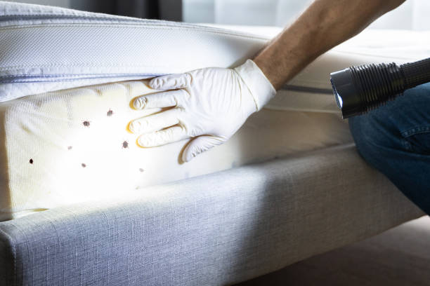 Best Emergency Pest Control  in Heppner, OR
