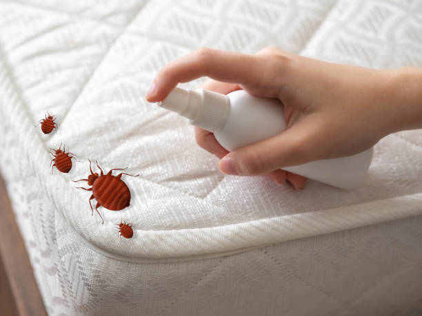 Best Residential Pest Control  in Heppner, OR