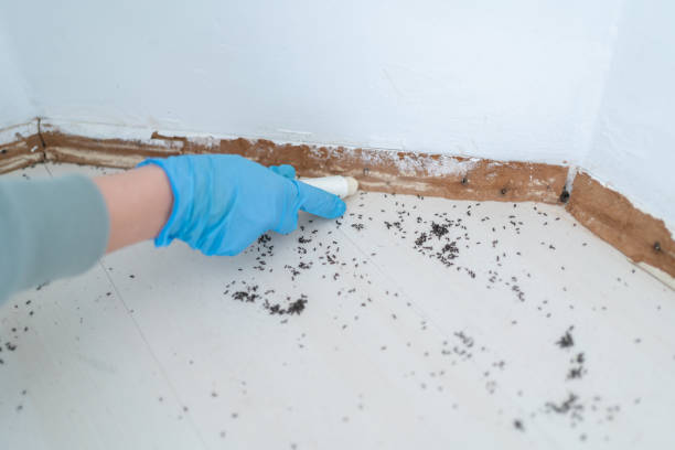 Best Wasp Removal Services  in Heppner, OR